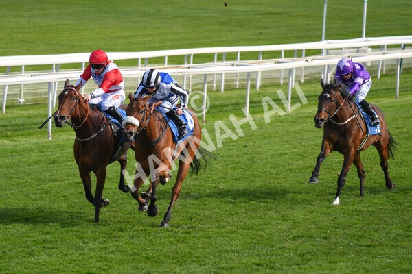 yr13052021r7-17 - Race 7 4.50pm Autohorn Stakes
