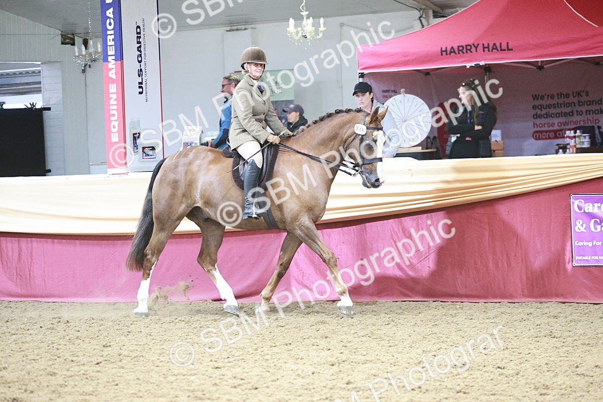 SBM_08816 - Class 12R - Regional Ridden Pre-Vet