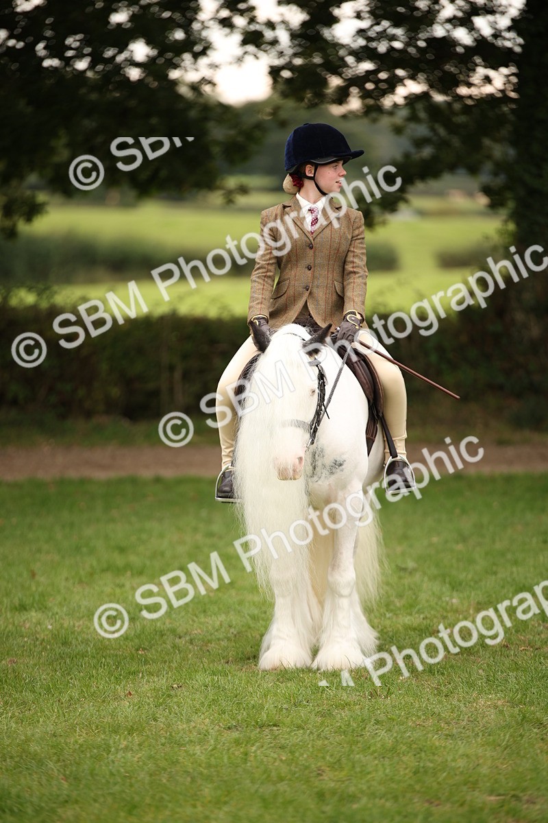 SBM_73560 - S68 - Traditional Cob Ridden