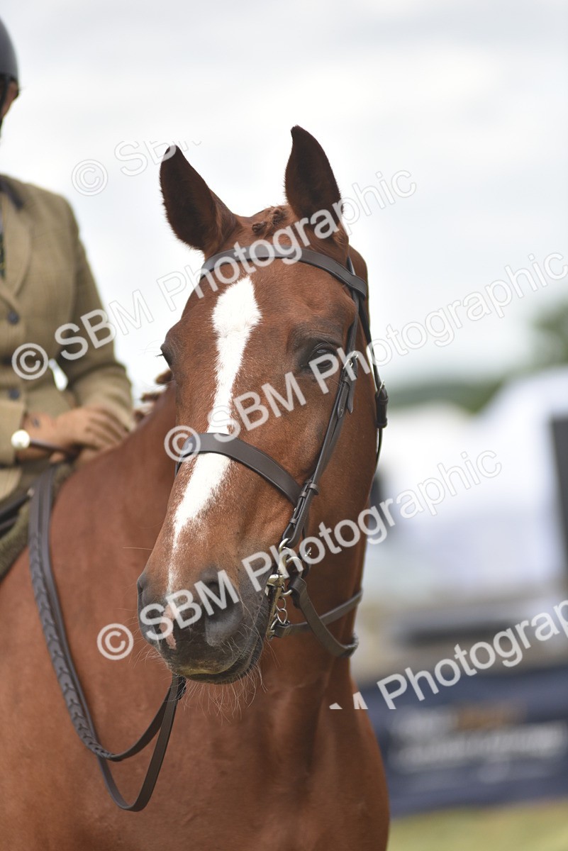 SBM_18211 - Class 122-123 - LIHS BHSA Raising Star Style and Performance Series