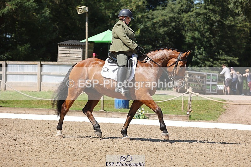 240719-105121-00797 - 169-Marion_Eaves-Indigo_Queen_of_Hearts