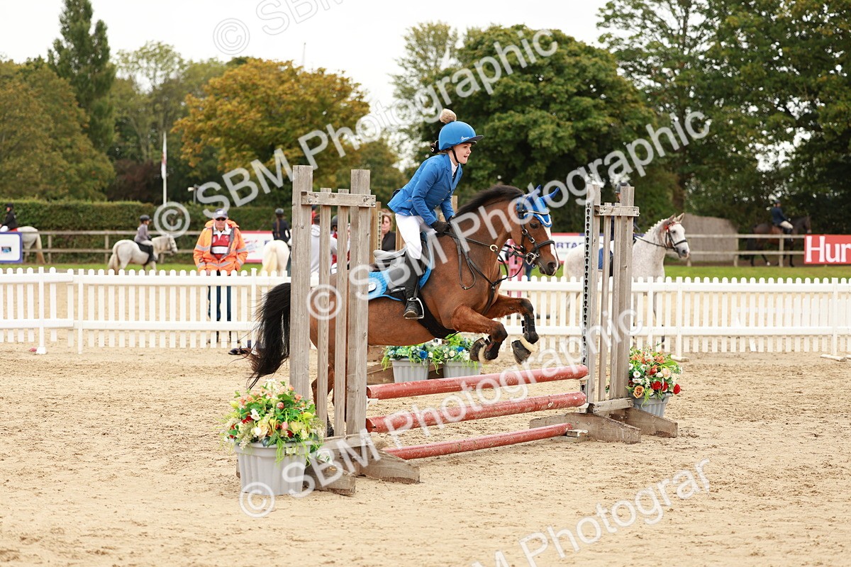SBM_61824 - J12 - Junior Pony 55cm Championship