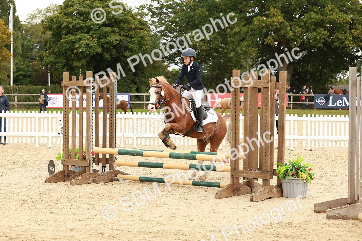 SBM_63594 - J12 - Junior Pony 55cm Championship