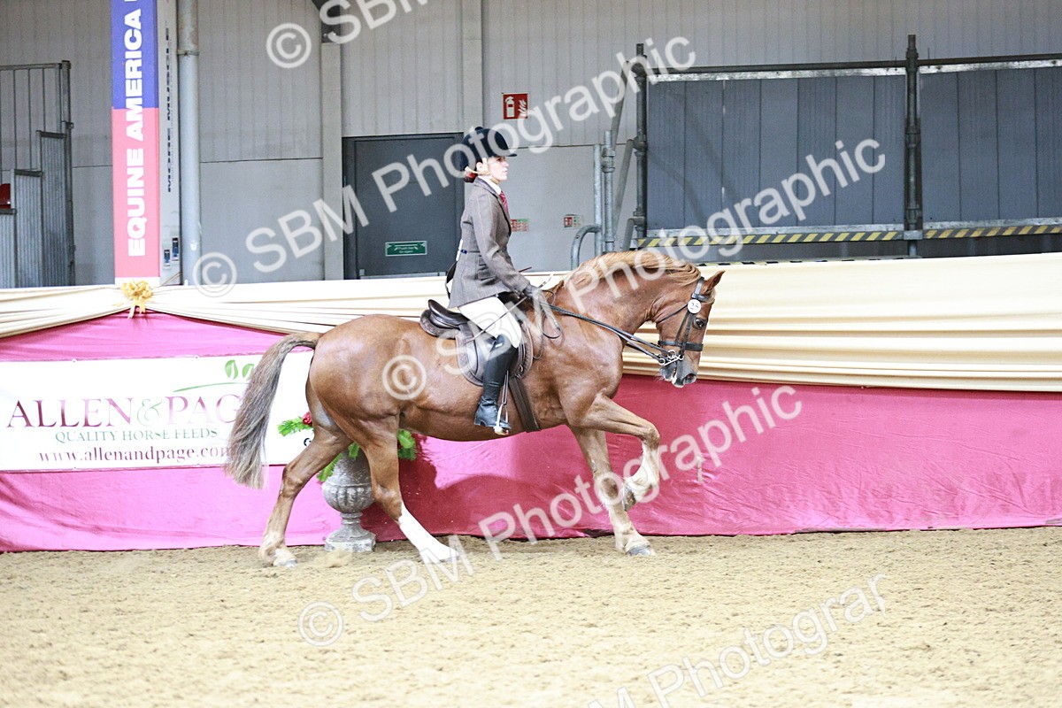SBM_02196 - Class 4A - Area Ridden Diamond