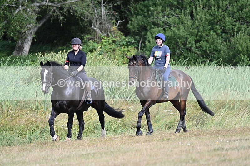 WJ7_4462 - Time 11:17 to 11:22