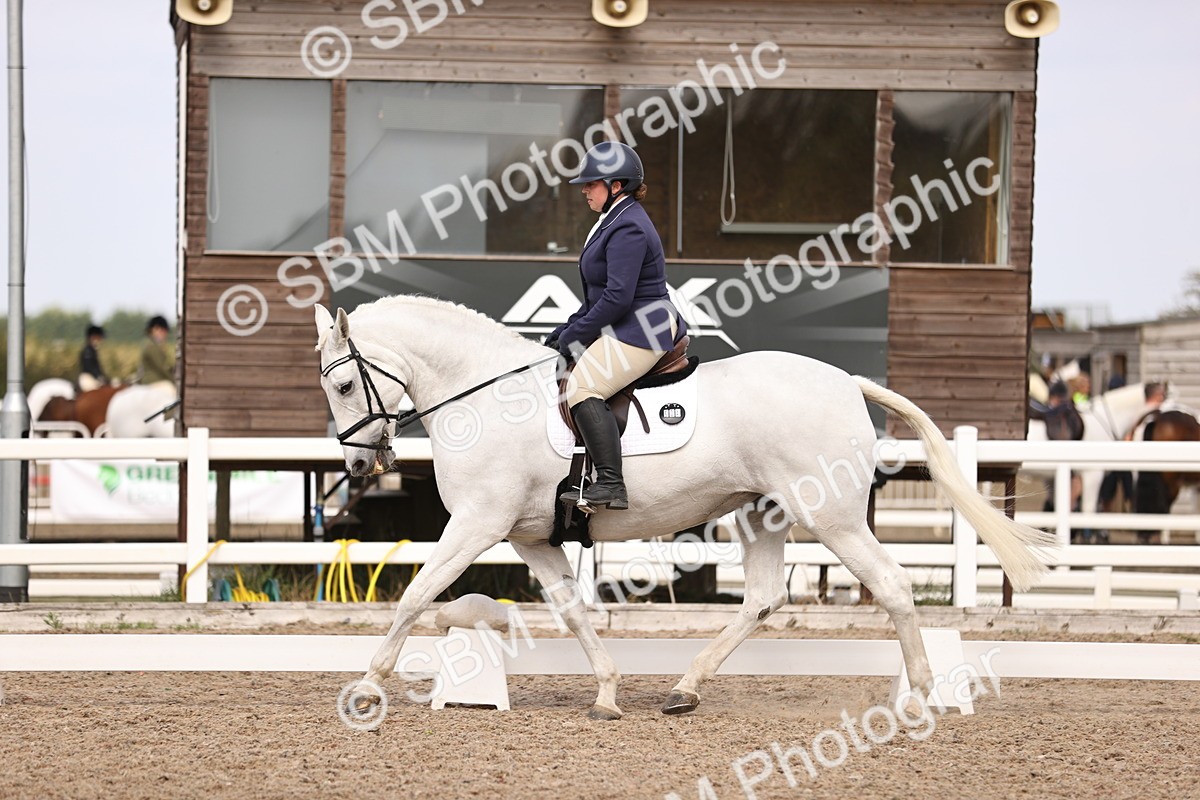 SBM_06086 - Class 37 Novice 5