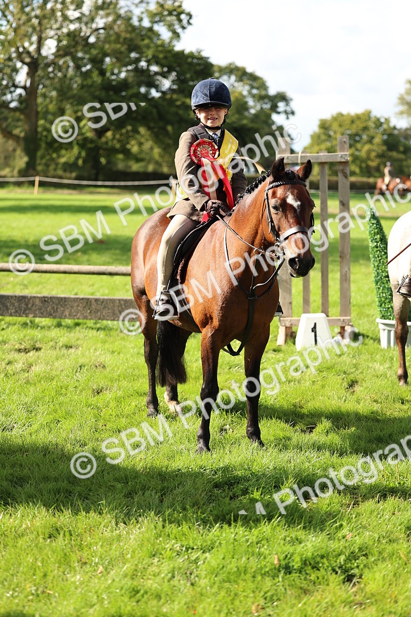 SBM_46411 - Working Hunter Pony Supreme Championship