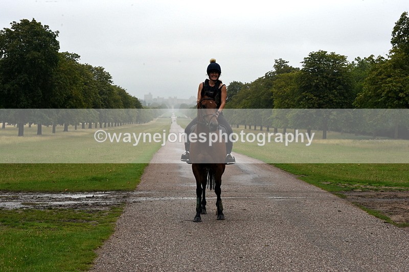 TT3_8338 - Time at Crossing 10:16 to 11:38