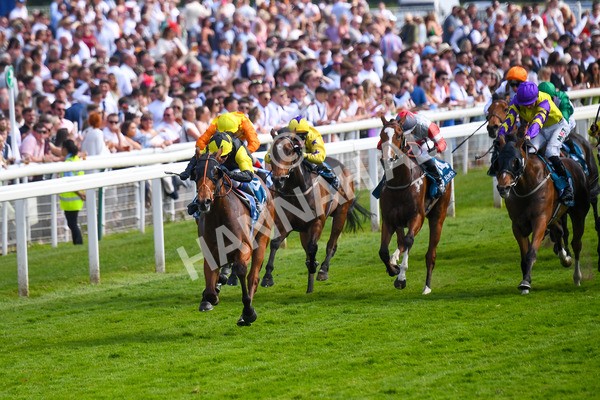 270523-Race 5-Starnberg-0759 - Race 5 3.50pm William Hill Extra Place Races Daily Handicap