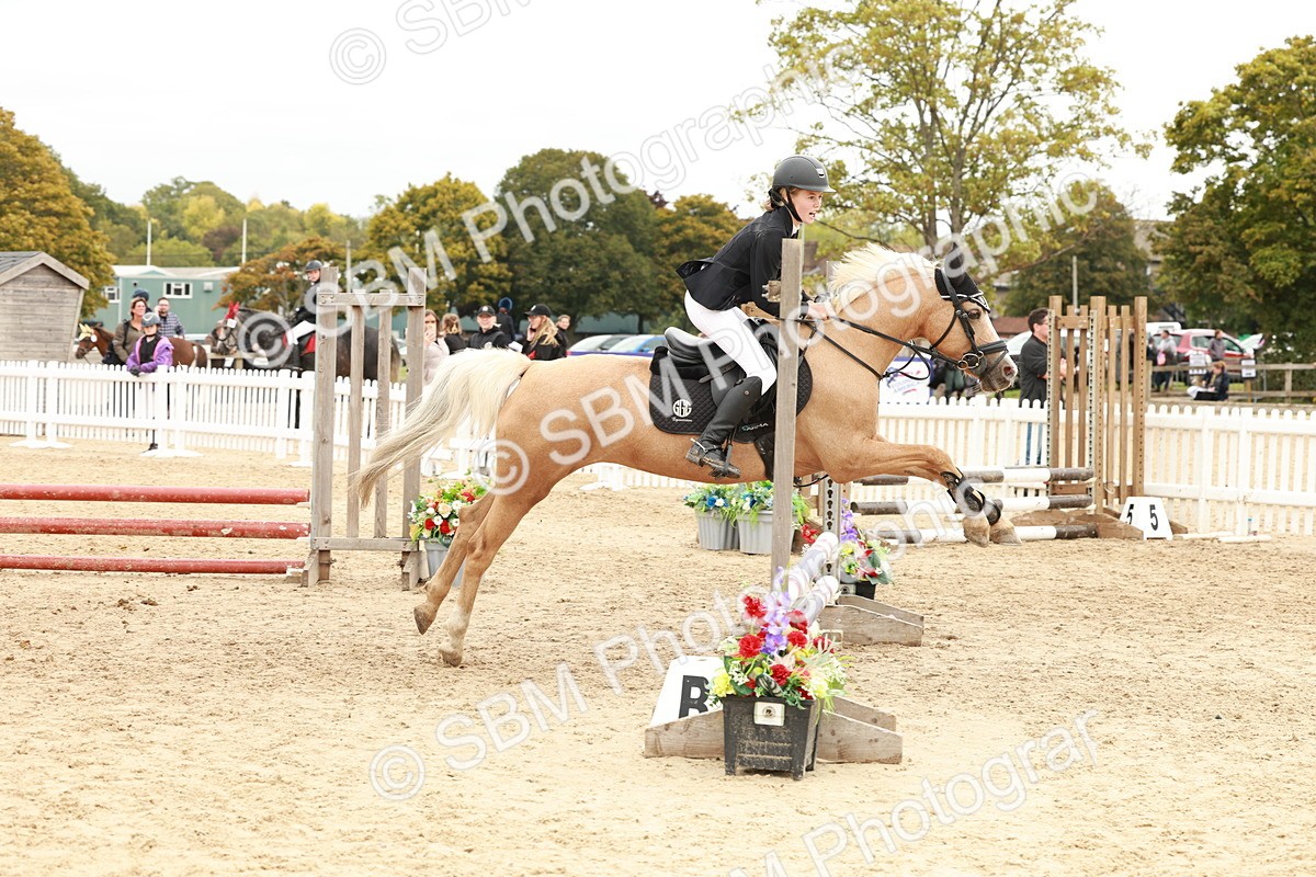 SBM_63730 - J12 - Junior Pony 55cm Championship