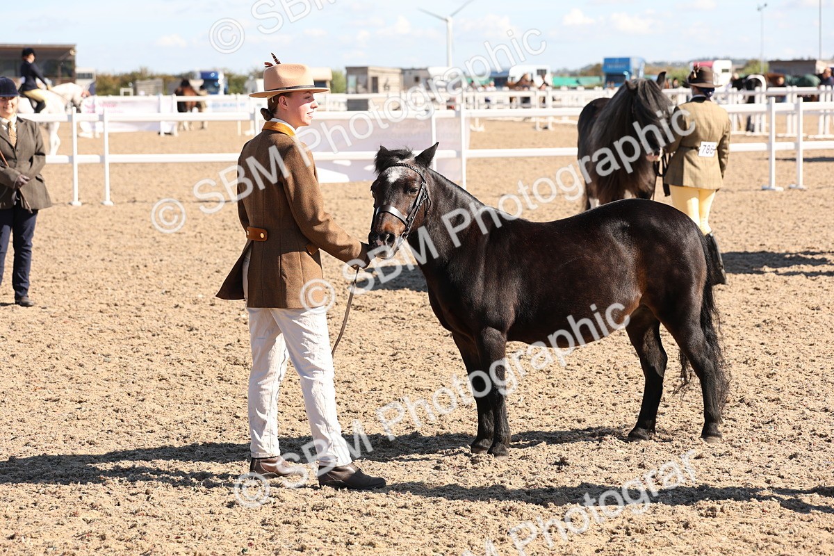 SBM_12932 - Class 206 - IH Non Show Type Pony