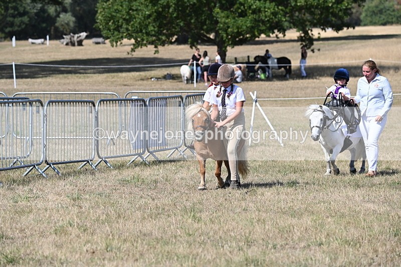 WJ6_9482 - Class 40 Cheekiest Pony/Horse