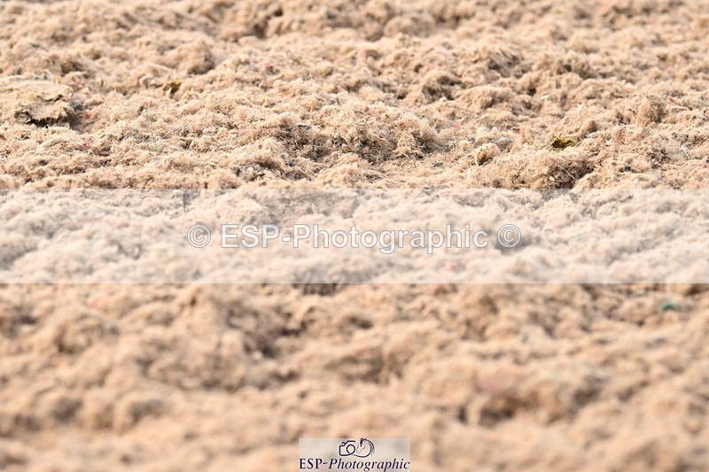 240622A-181417-15519 - Cls 7B+C Elementary 44 RoR