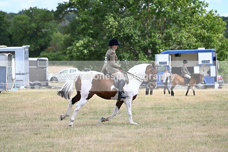 WJ7_5604 - Class 12 Ridden Cob