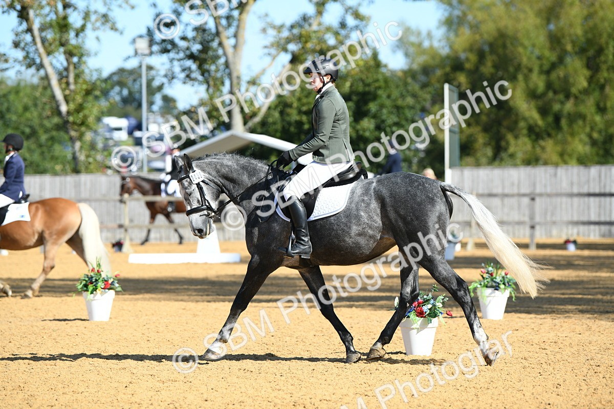 SBM_17945 - D4 - Small Tour Championship - Intro B