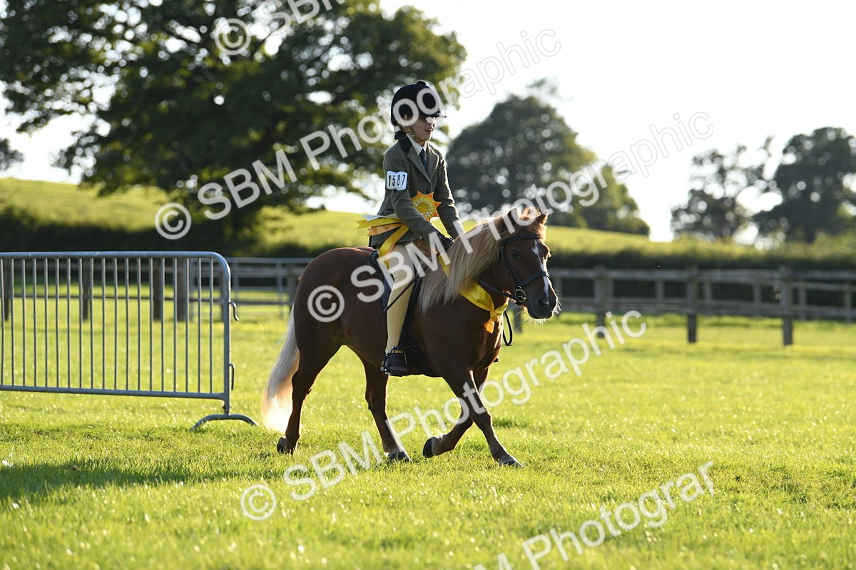 SBM_54200 - S23 - 1st Ridden Mountain & Moorland Pony