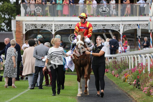 yr23072022r2-43 - Race 2 2.40pm Sky Bet Dash