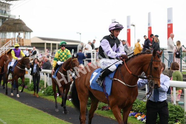yr22052022r3-31 - Race 3: 4:35pm Sky Bet Sunday Series Dash