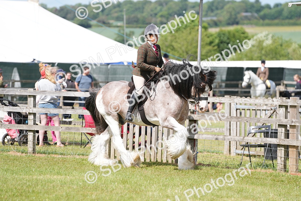 SBM_17122 - Class 107-108 - LIHS BSPS Performance Coloured Horse Pony