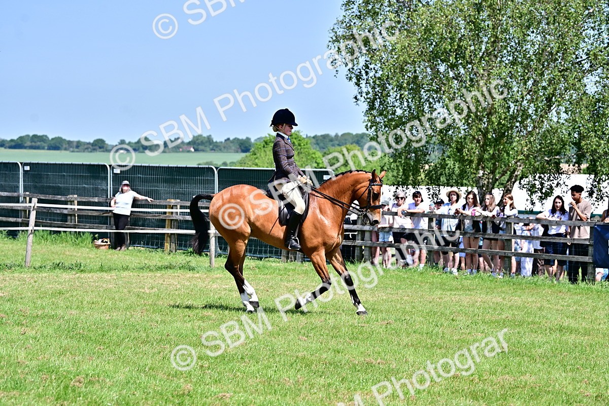 SBM_15270 - Class 95-97 - BSPS LHS Performance Ponies