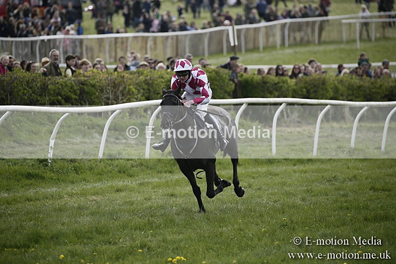 PtP 170417 350 - Old Berks Point-to-Point Lockinge 17/04/17