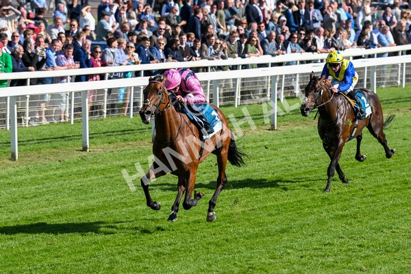 160525-Race 6-Bowmark-7158 - Race 6 4.55pm Darley EBF 'Confined' Novice Stakes