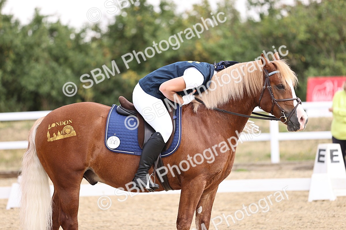 SBM_006582 - Intro 3 - 9.46-10.46