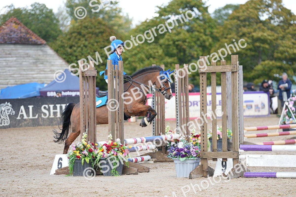 SBM_21268 - J49 - Open 50cm