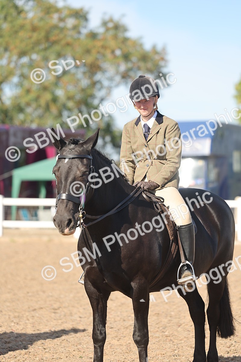 SBM_12374 - Class 304 - Ridden part Bred Horse Pony