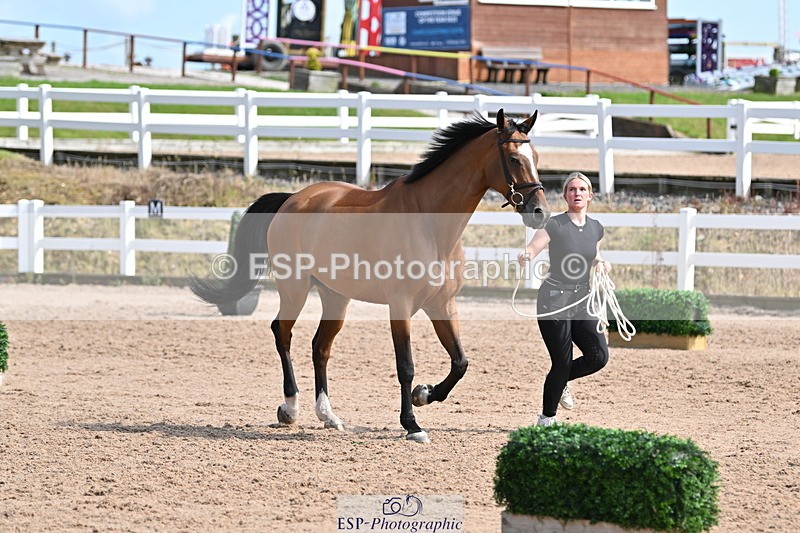 240717A-160213-03273 - Trot Up 4pm to 5pm