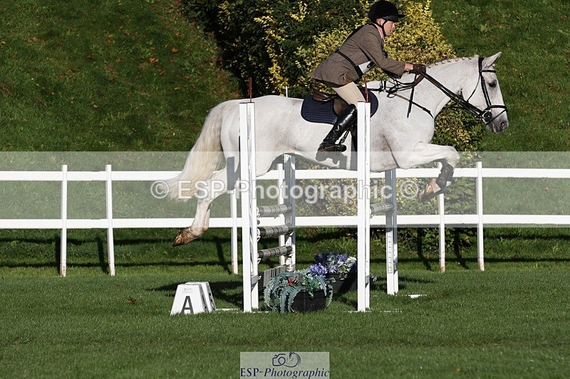 231022-093842-24008 - 608-SIR.HAROLD-William.Cursham-TrotUp+SJ