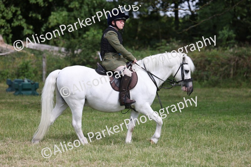 20260614-0812 - Class 20 - Beginners Working Hunter Pony
