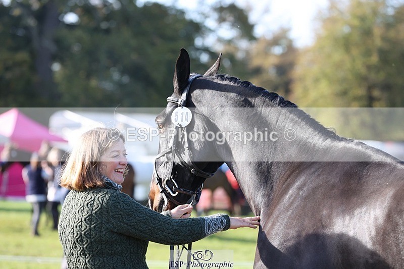 241027-102301-15849 - 514-Georgina.Owen-BARATHEON