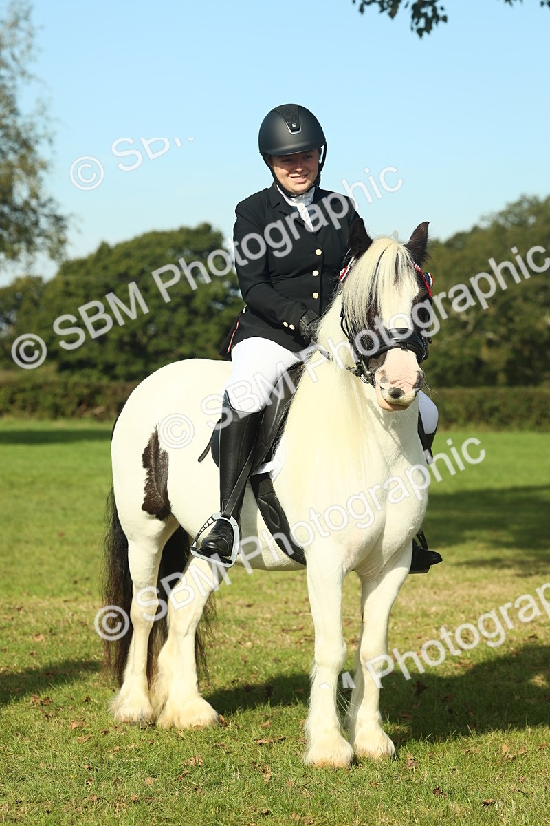 SBM_60004 - S38 - Starters Ridden Showing