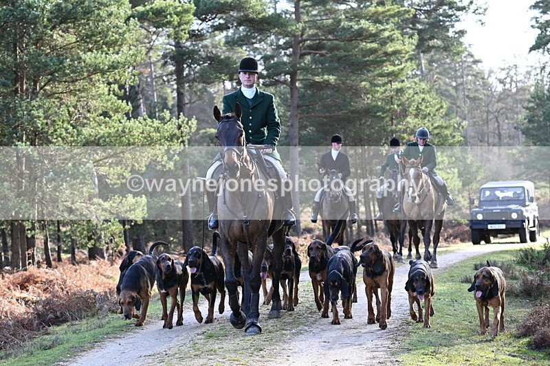 WJ7_7702 - Line 3 (no line 4 or 5)