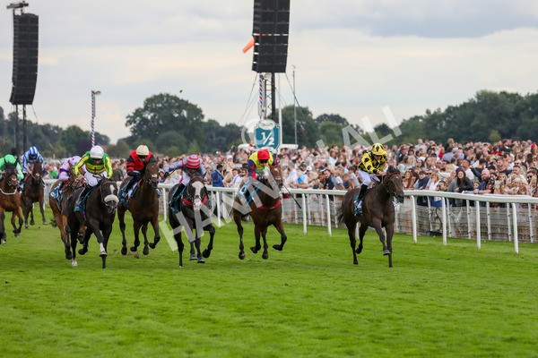 270724-Race 7-Finn Ironside-4831 - Race 7 5.40pm Sky Bet Extra Places Every Day Handicap