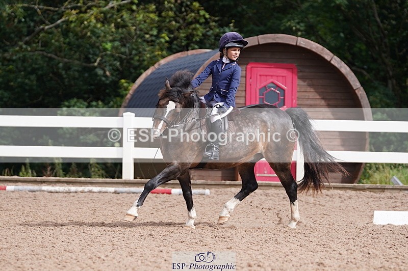 240809A-100058-00395 - Dressage Competition