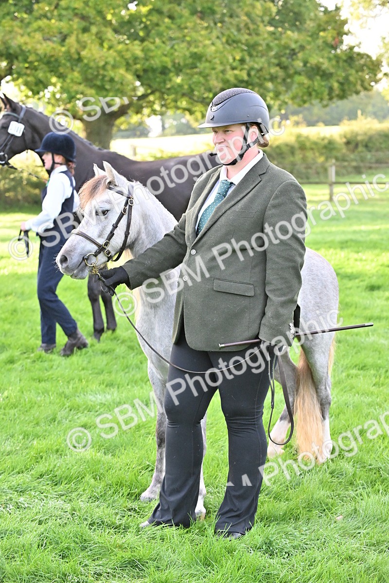 SBM_55348 - S44 - Youngstock In Hand