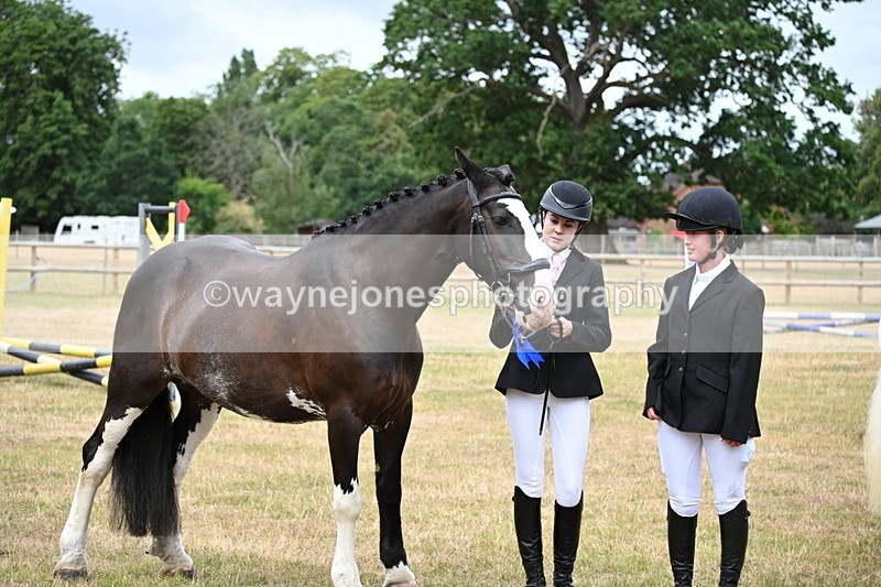 WJ6_4460 - Class 10 Coloured In-hand