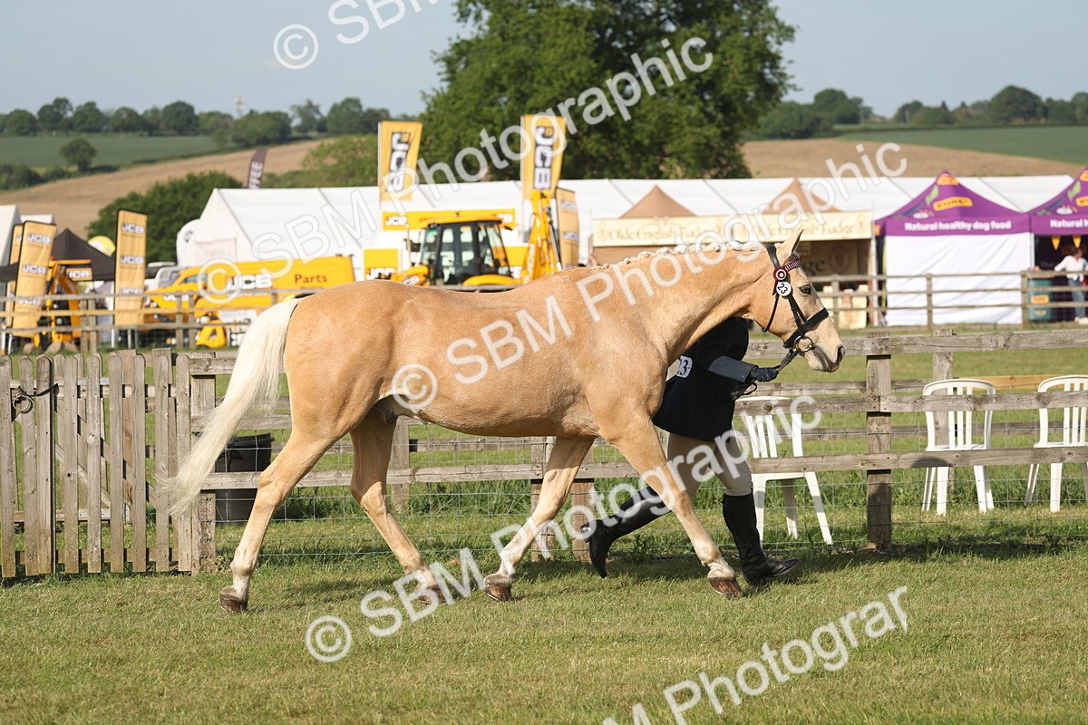 SBM_10463 - Class 33-38 - SSADL RIHS Qualifiers