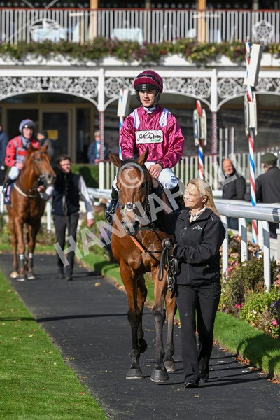 111024-Race 1-Empirestateofmind-1331 - Race 1 1.30pm William Hill Top Price Guarantee Autumn Handicap