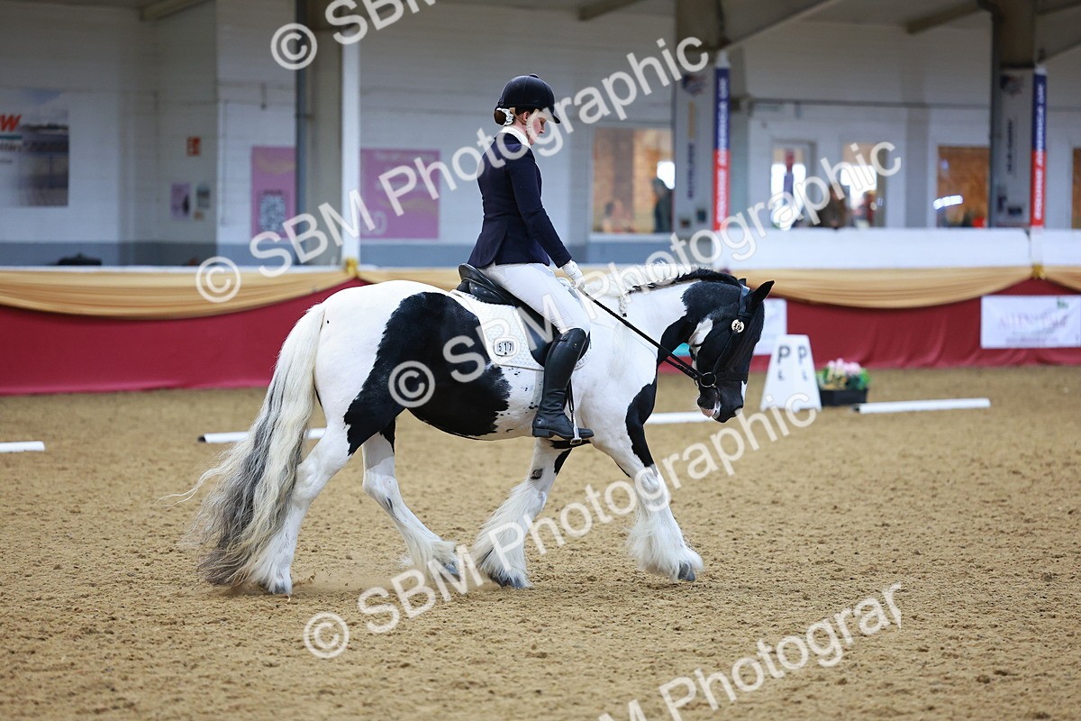 SBM_06476 - Class 61 - Dressage to Music