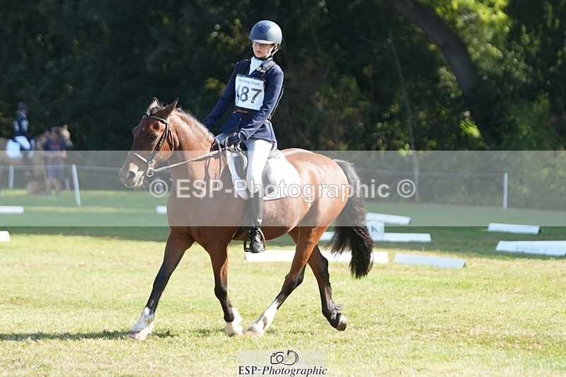 250823A-094513-26635 - Arena B