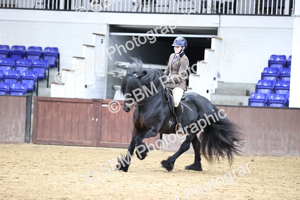 SBM_6553 - Class 43 - Ridden Native Breeds