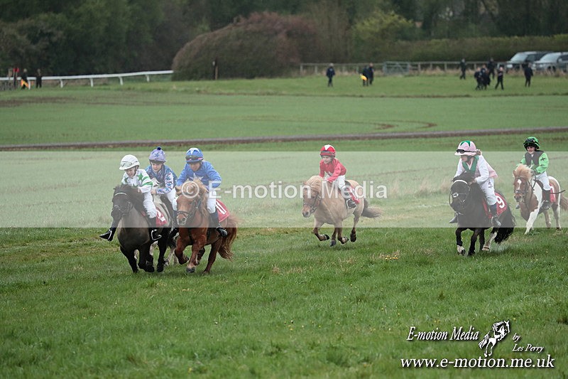 SHETPR 210425 157 - Shetland Ponies Paxford Races 21/04/25