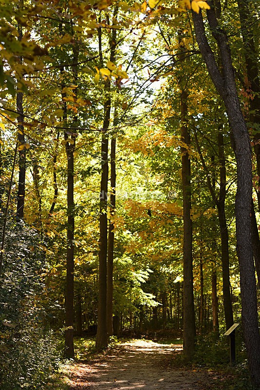Bronte Park, Burlington - Autumn in Canada