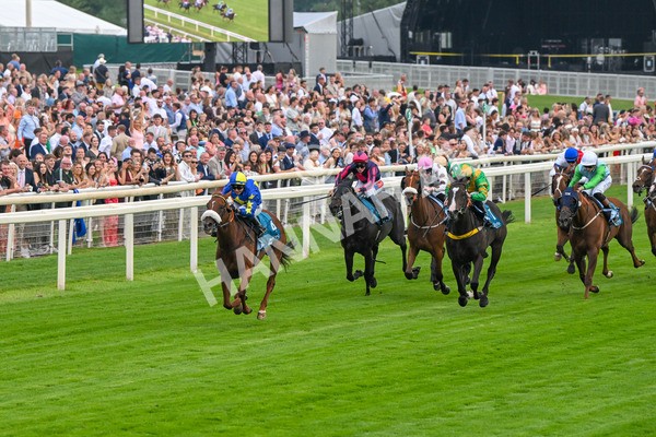 250725-Race 2-Rock N Roll Pinkie-5448 - Race 2 6.03pm Elevator Company Handicap