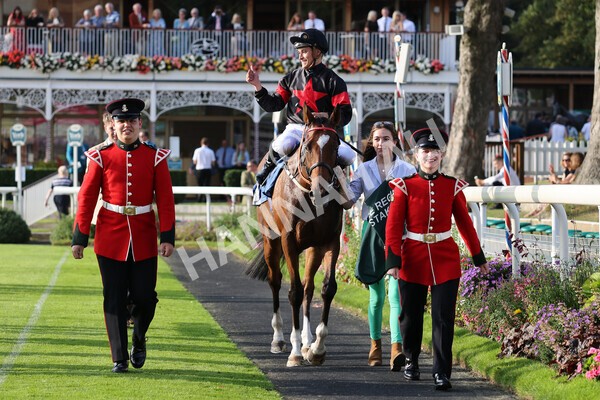 yr05092021r7-37 - Race 7 5.10pm Yorkshire Regiment Stakes