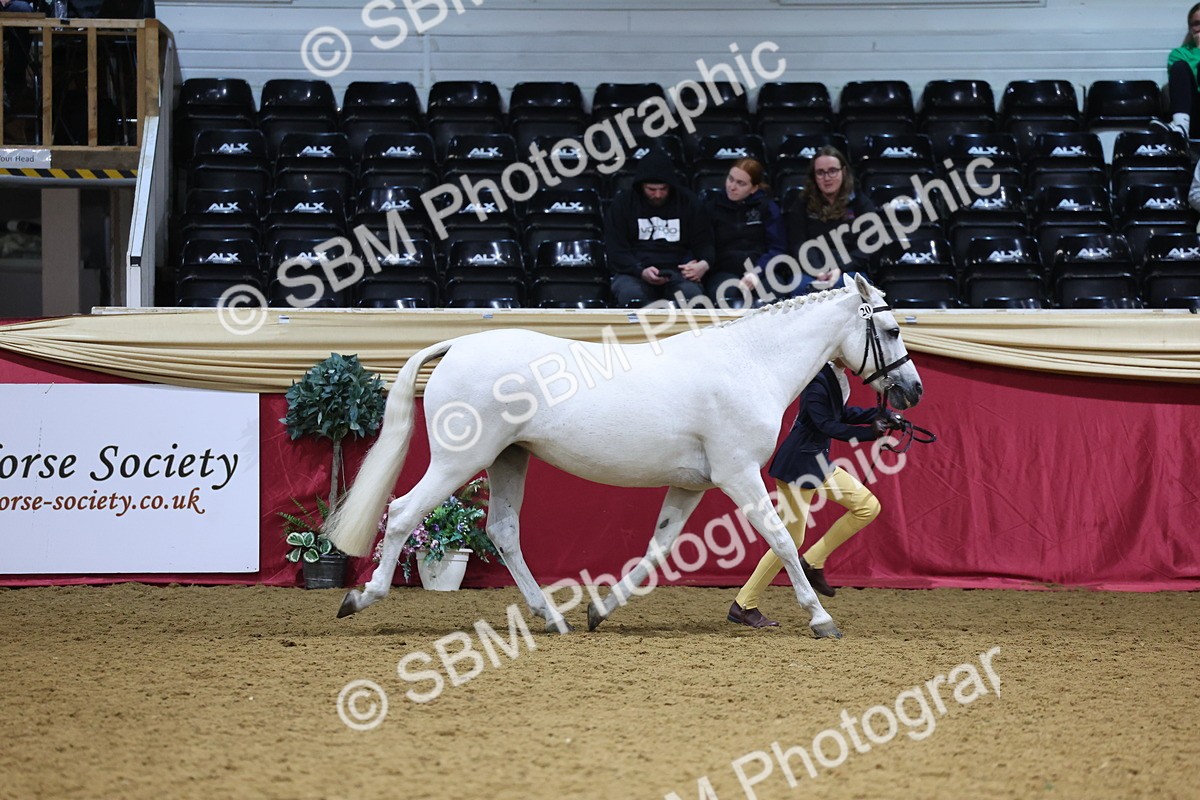 SBM_18460 - Class A Junior Champ 10 Years and Under