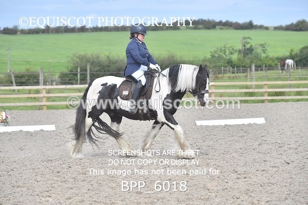 BPP_6018 - PRELIM TEST 5 LONG ARENA